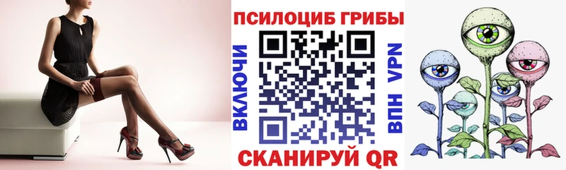 дарнет шоп  Фрязино  Псилоцибиновые грибы GOLDEN TEACHER 